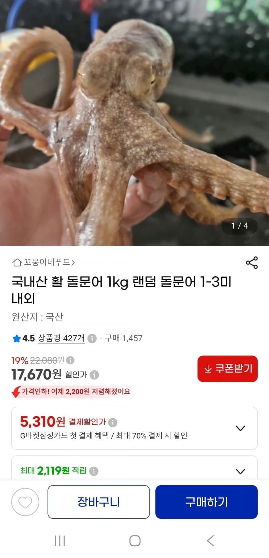 활돌문어 1kg