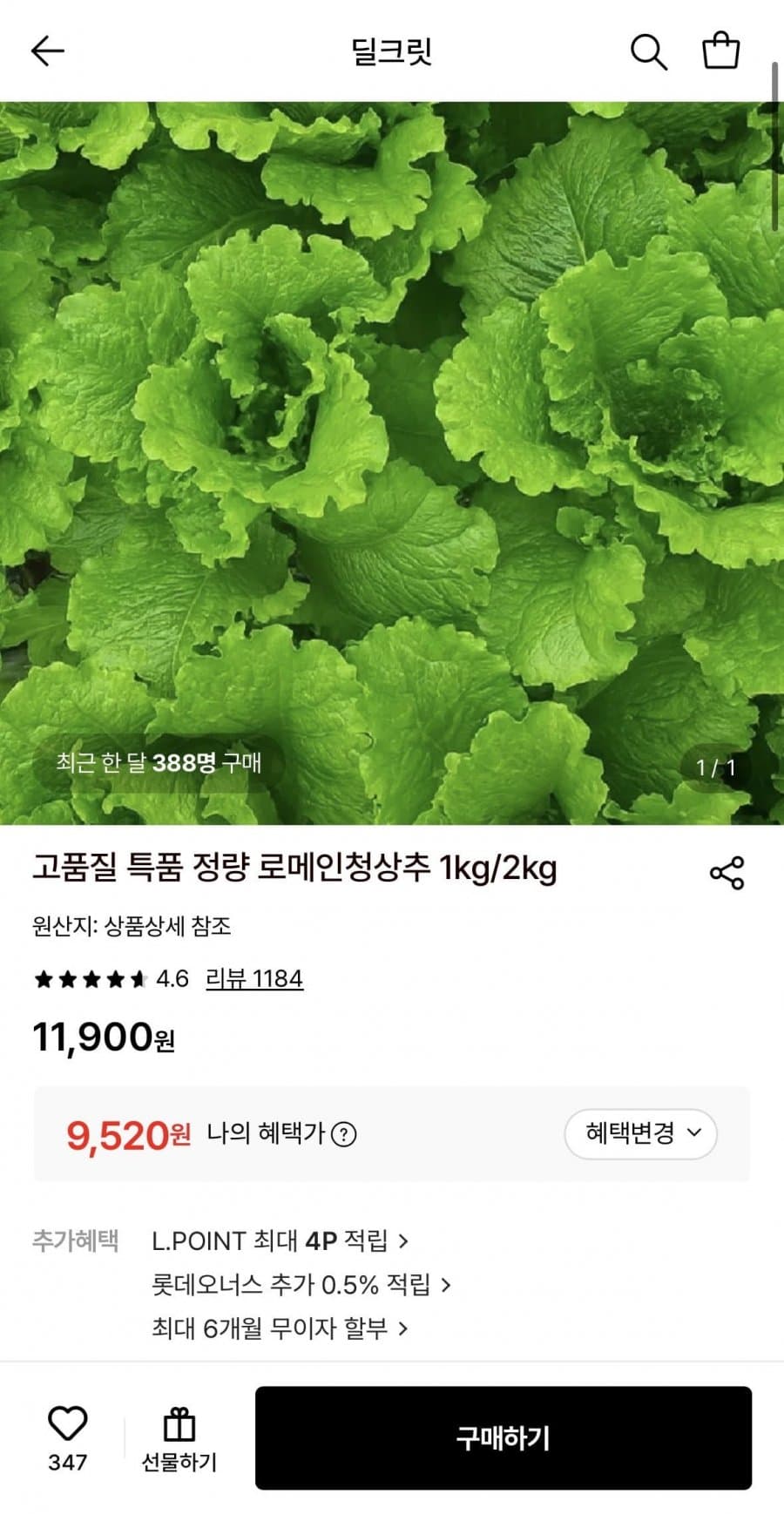 로메인청상추 1kg