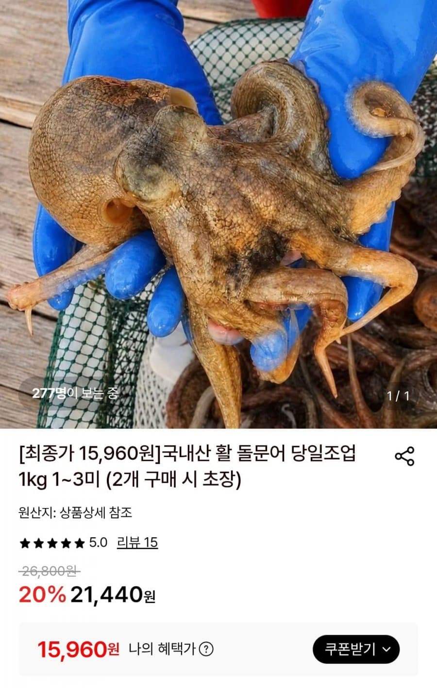 국내산 활 돌문어 1kg