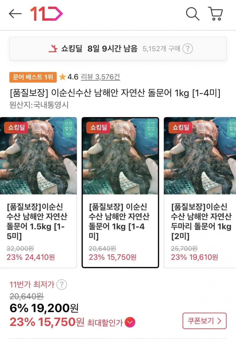 자연산 돌문어 1kg