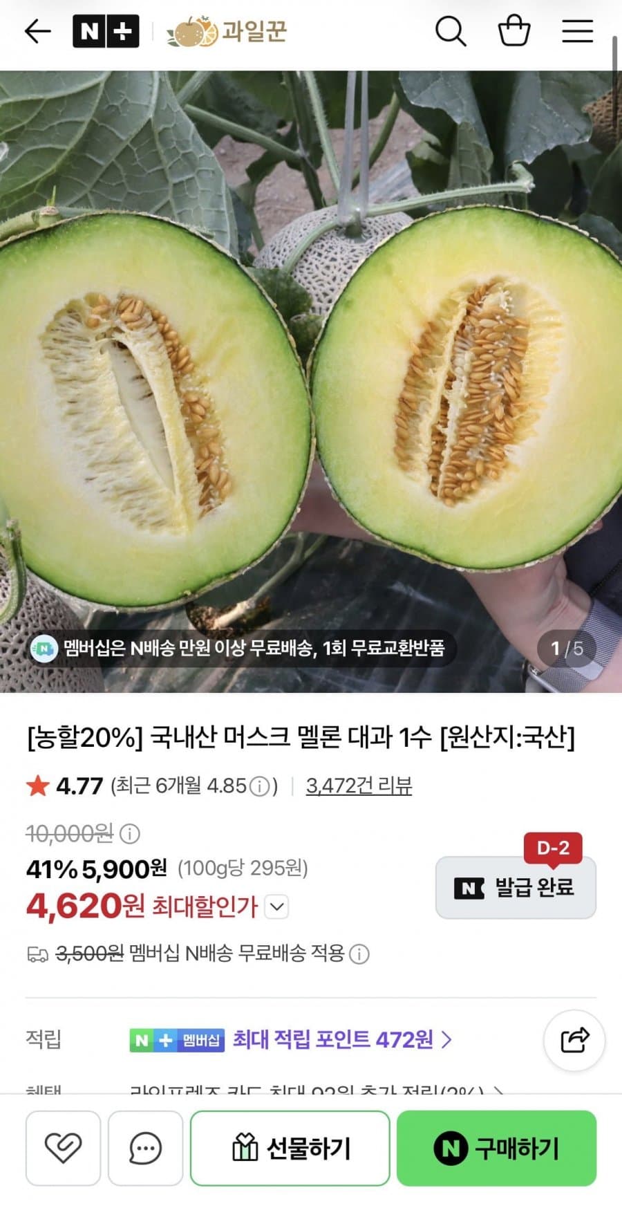 머스크 멜론 대과 1수