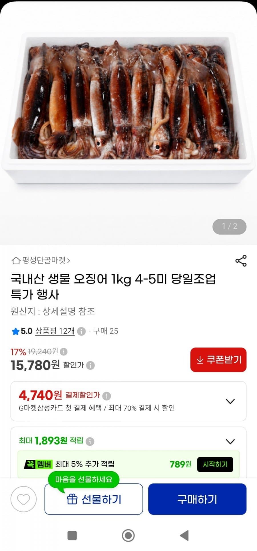 국내산 생물 오징어 1kg