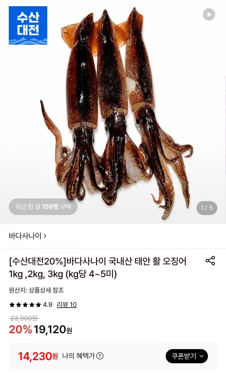 태안 활 오징어 1kg