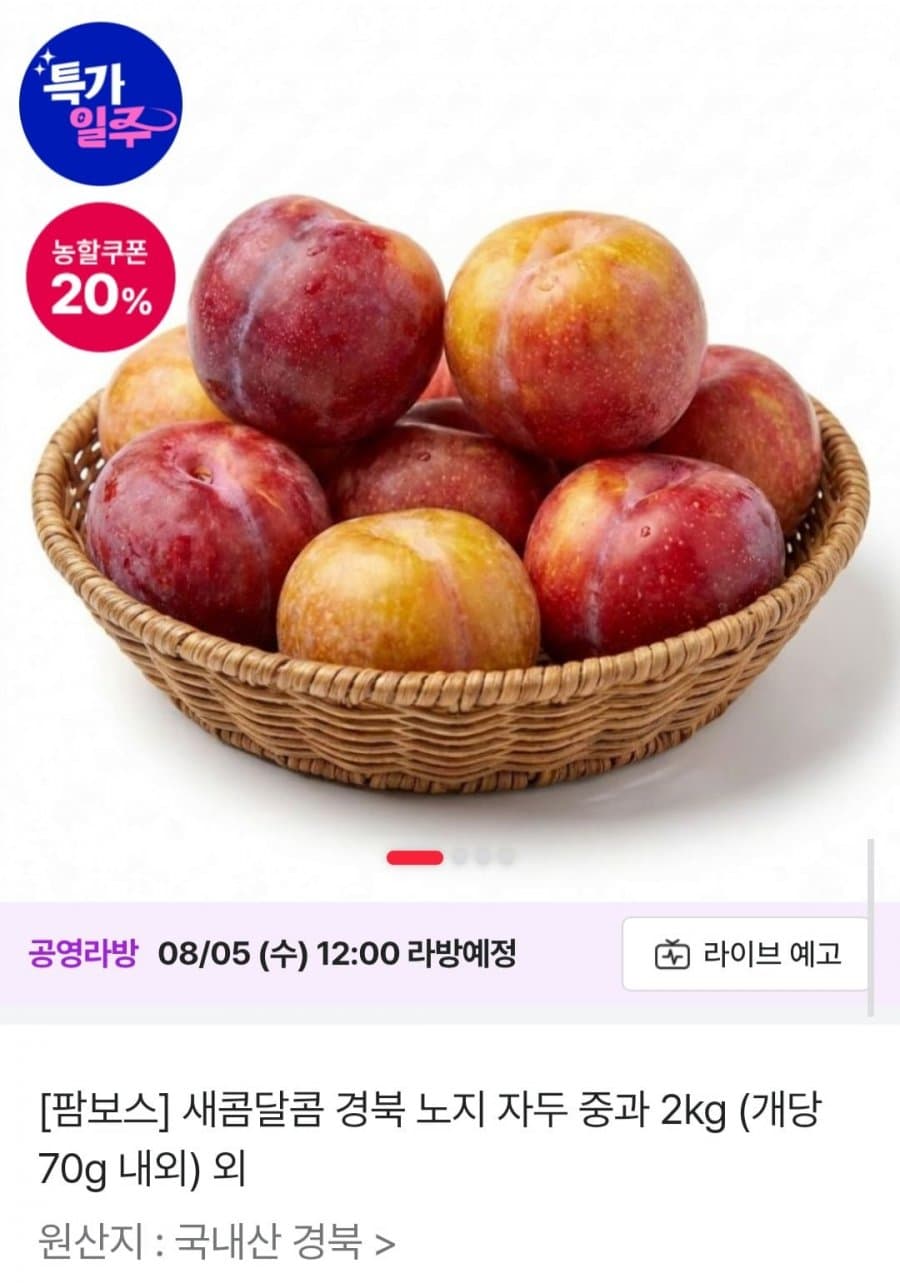 경북 노지 자두 중과 2kg