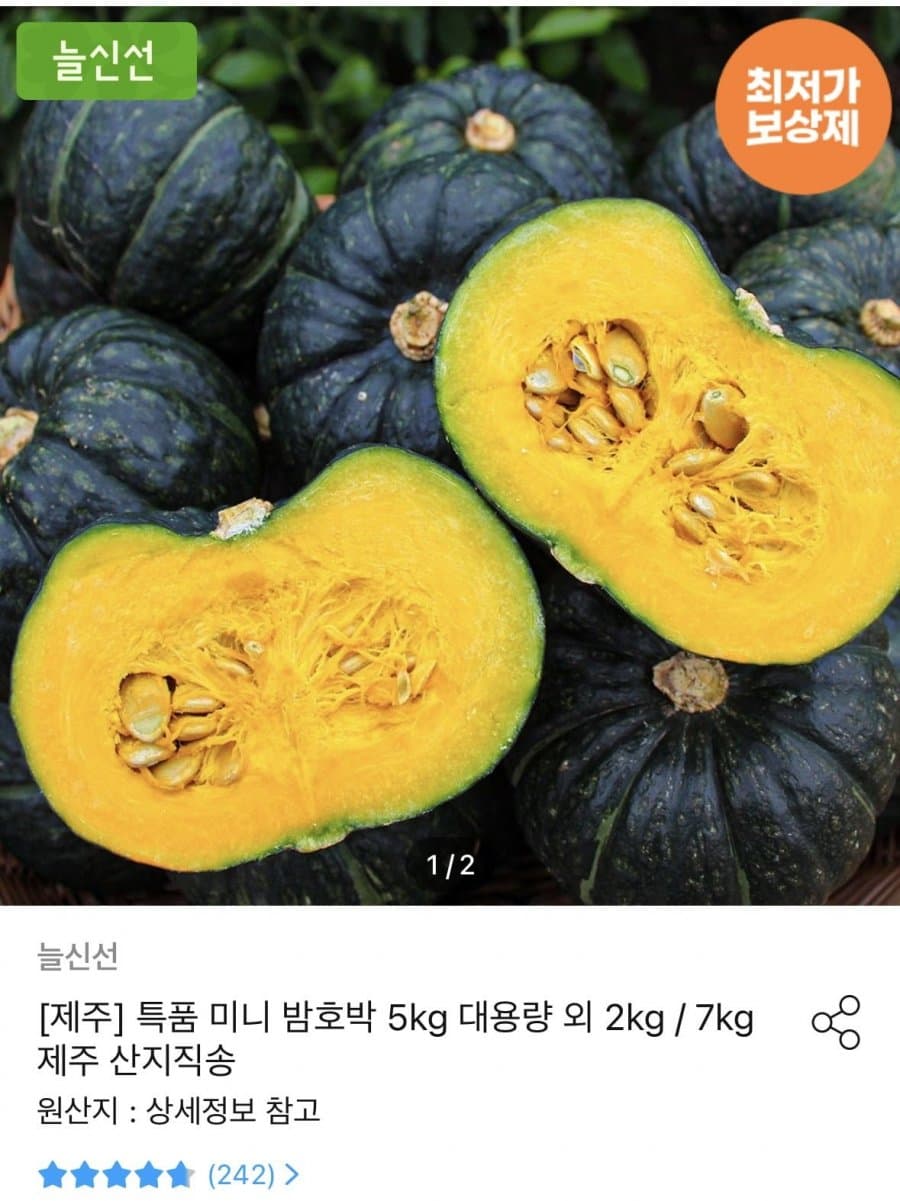 제주 미니 밤호박 5kg