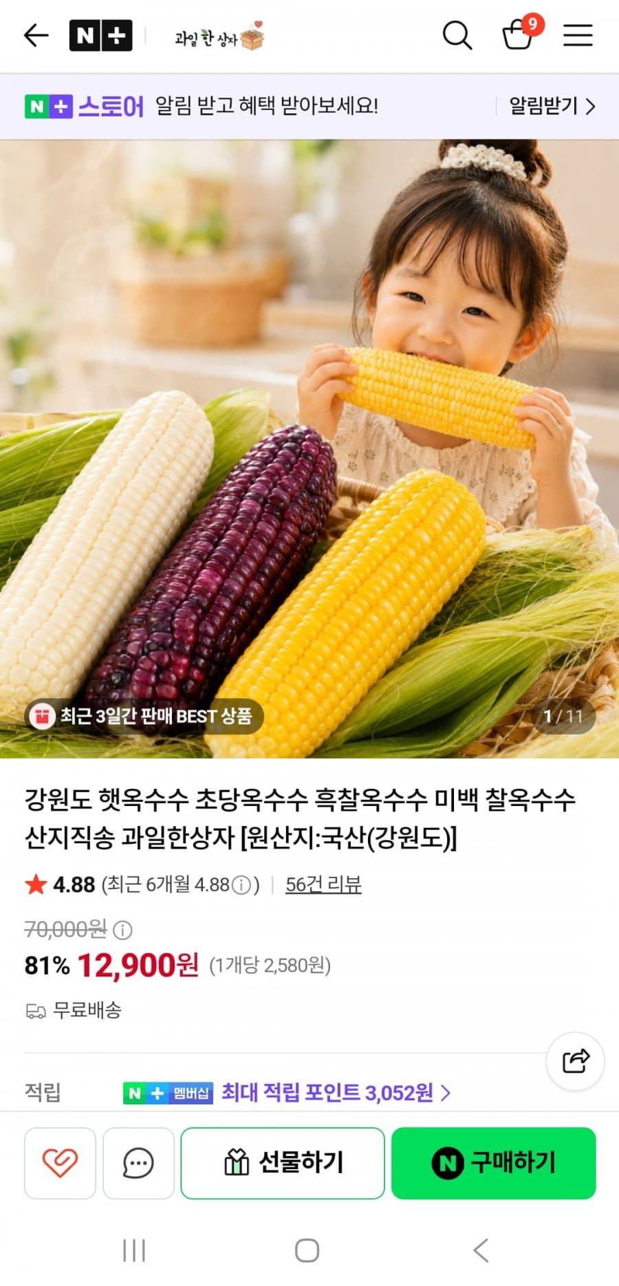 강원도 초당옥수수·흑찰옥수수