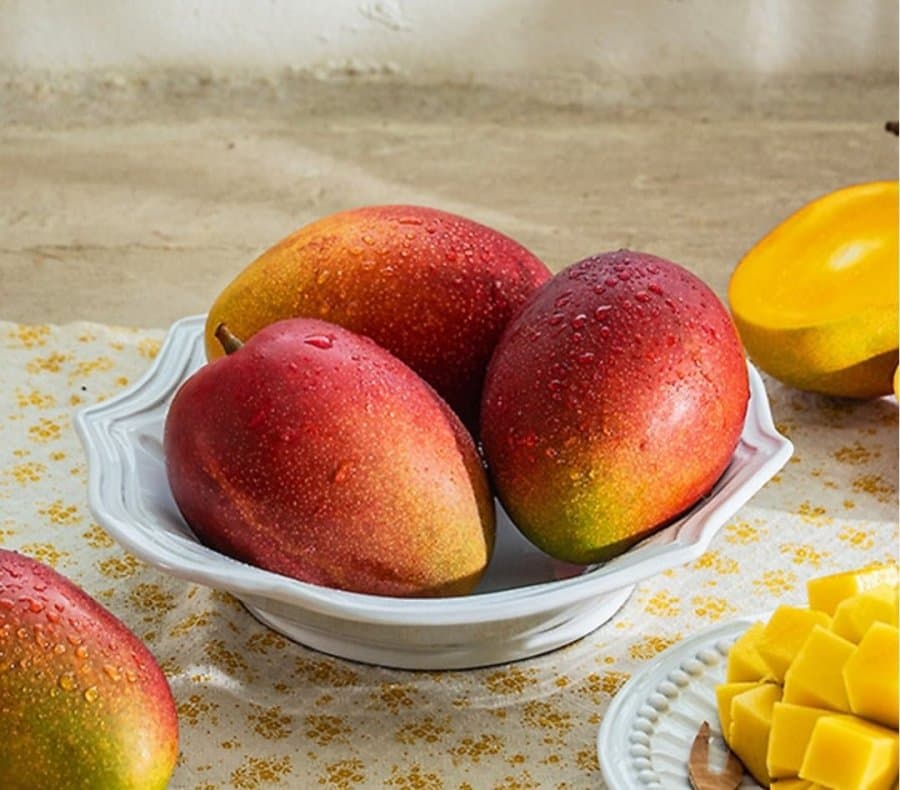 제주 애플망고 1.5kg 4과