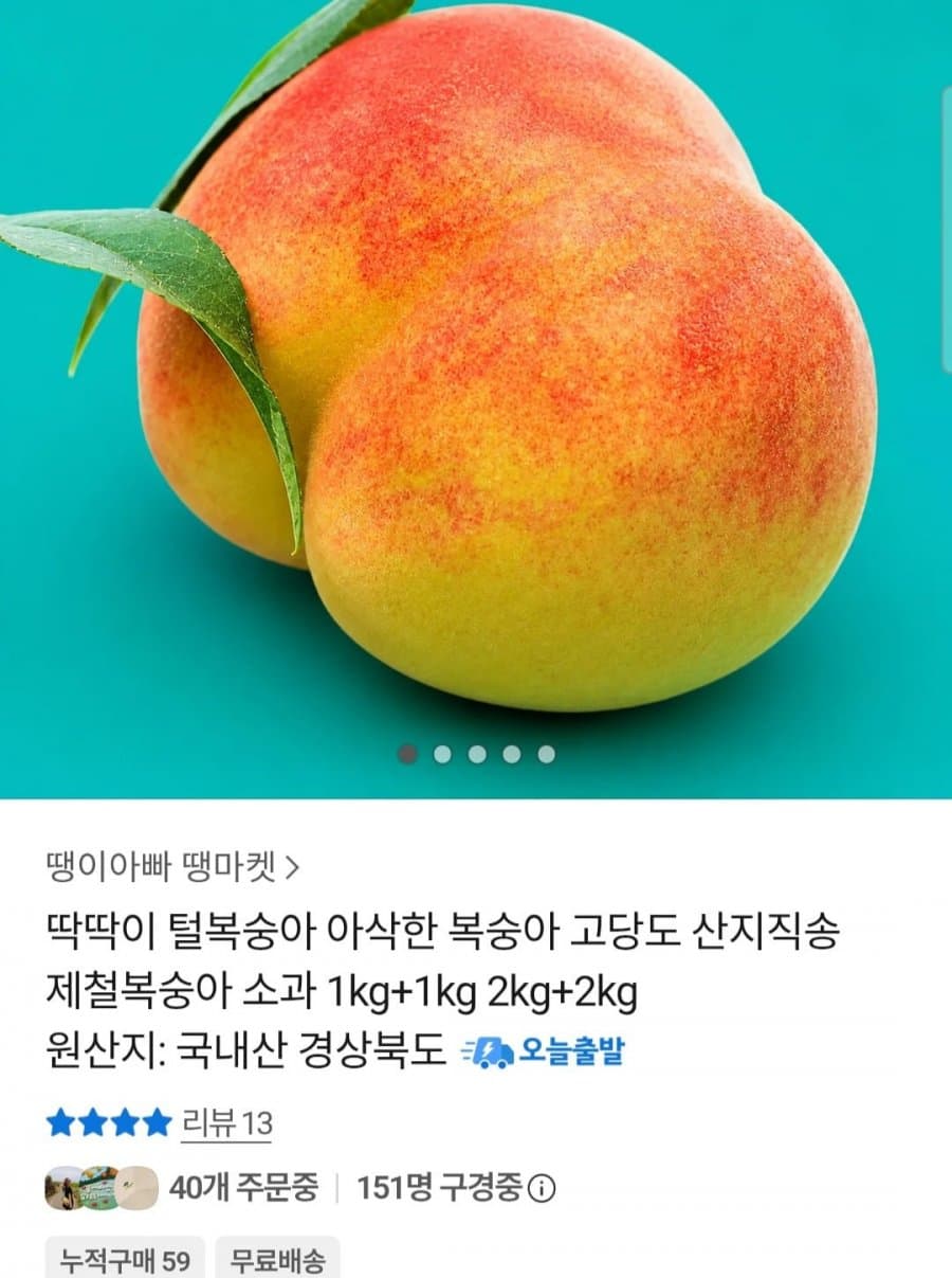 딱딱이 털복숭아 2kg