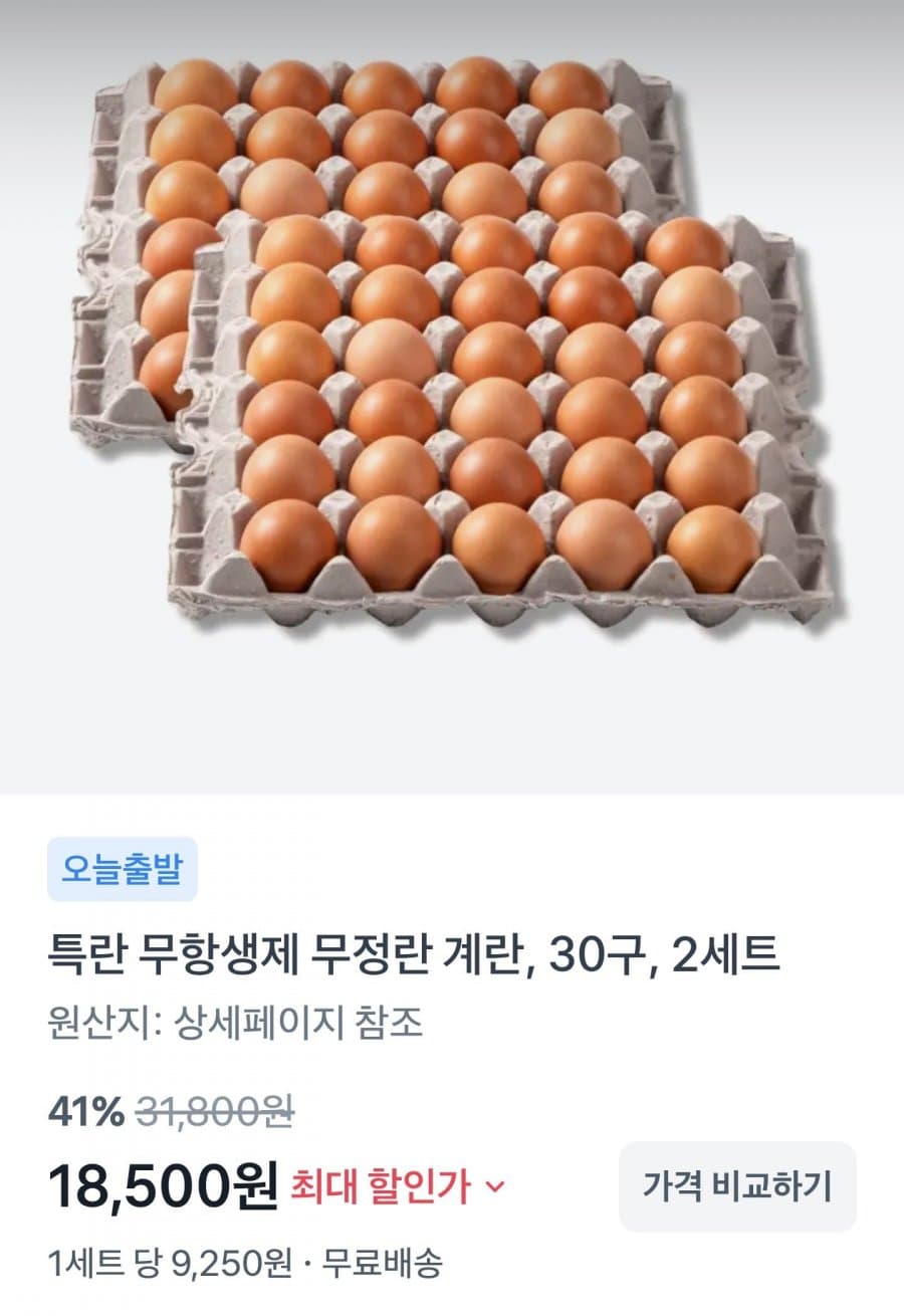 특란 무정란 계란 60구