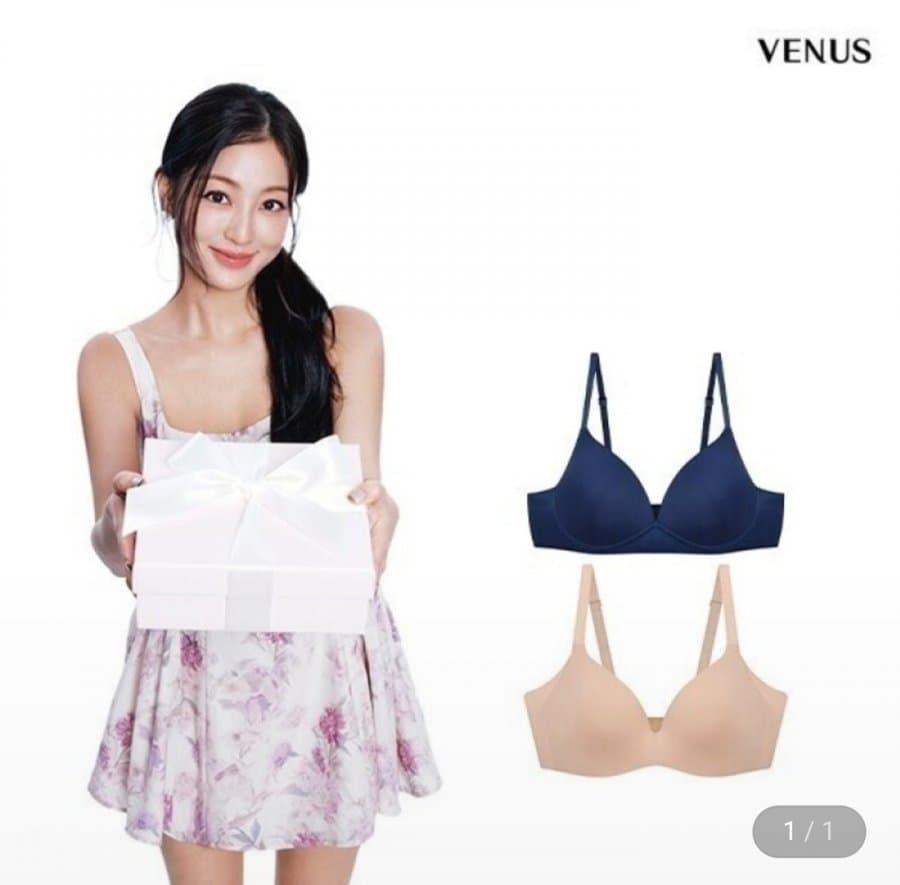 비너스 아르보 언더웨어