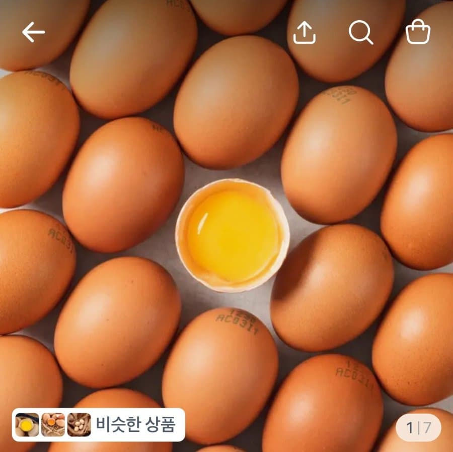 무항생제 유정란 40구