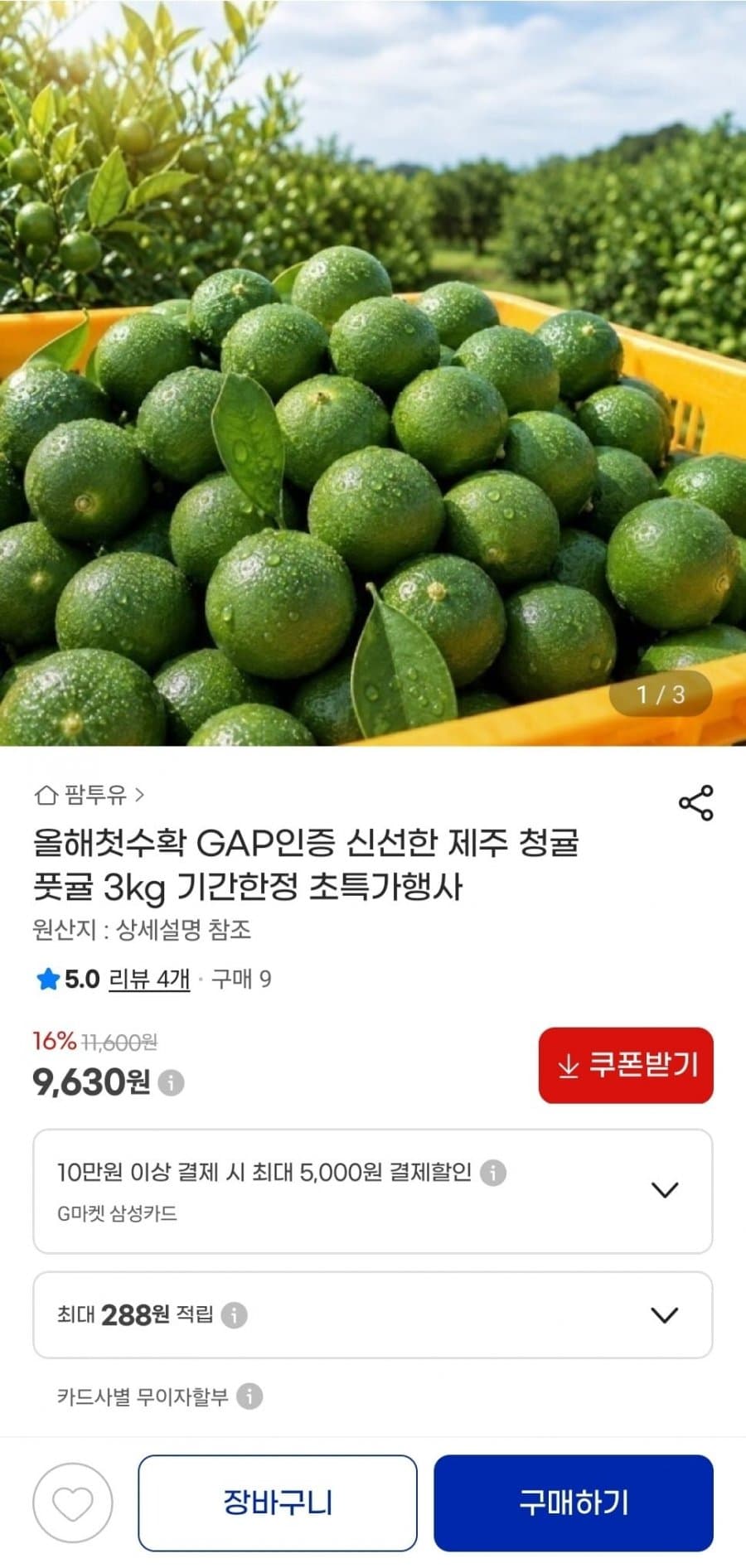 제주 청귤 3kg