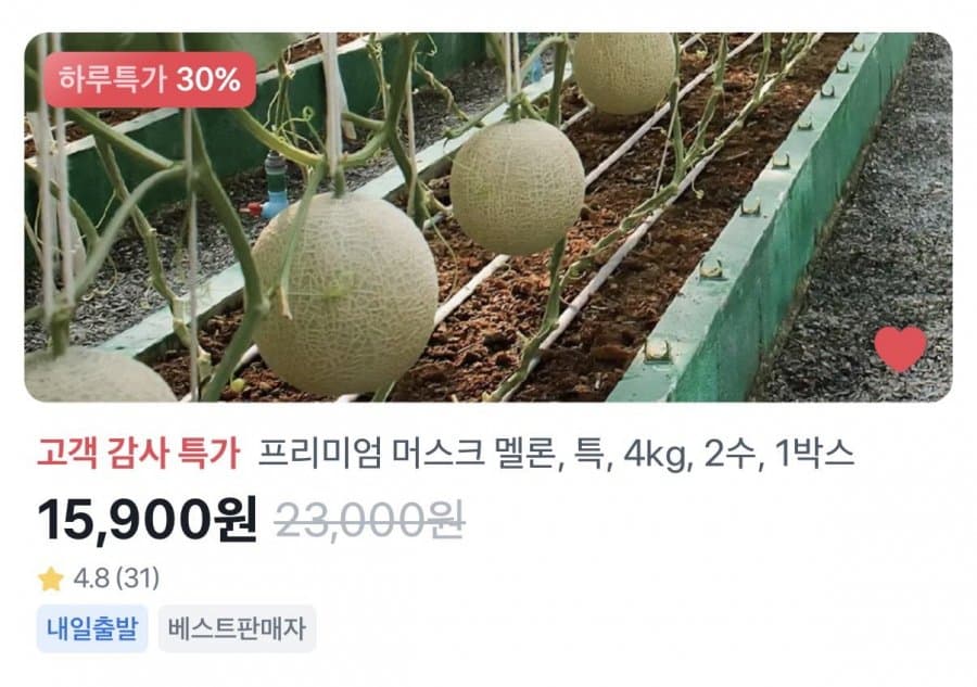 머스크 멜론 4kg 2수