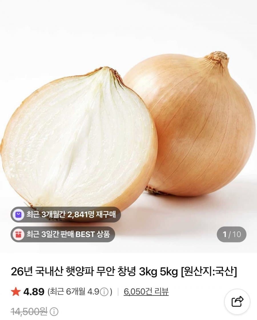 국내산 햇양파 3kg/5kg