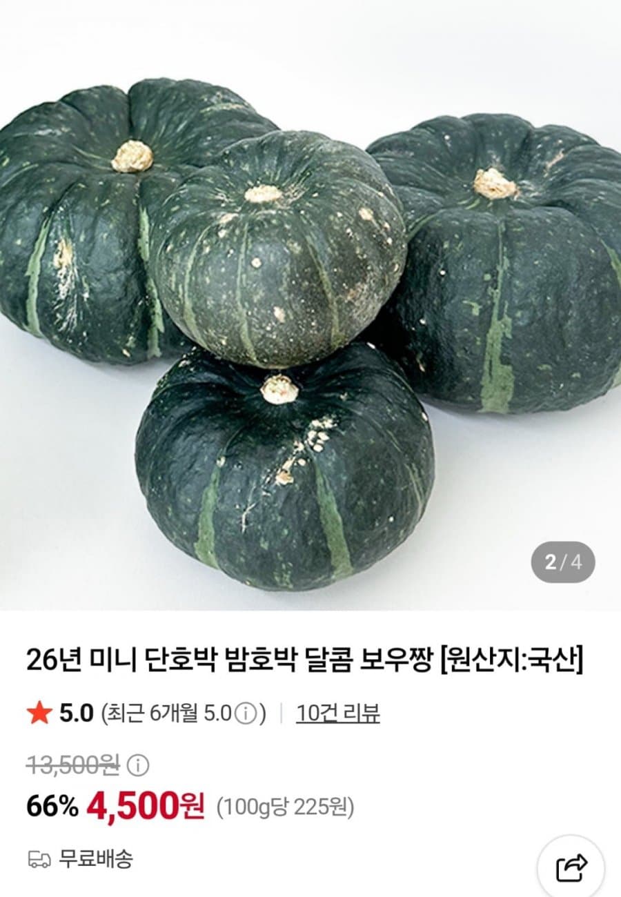 미니 단호박 보우짱 2kg