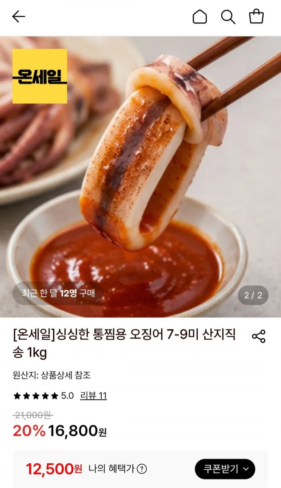 통찜용 오징어 1kg