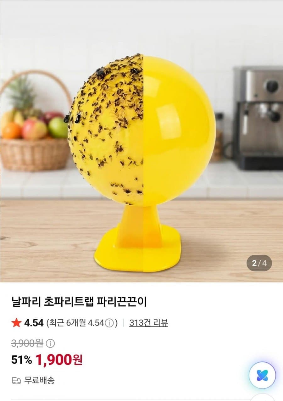 파리 끈끈이 2개