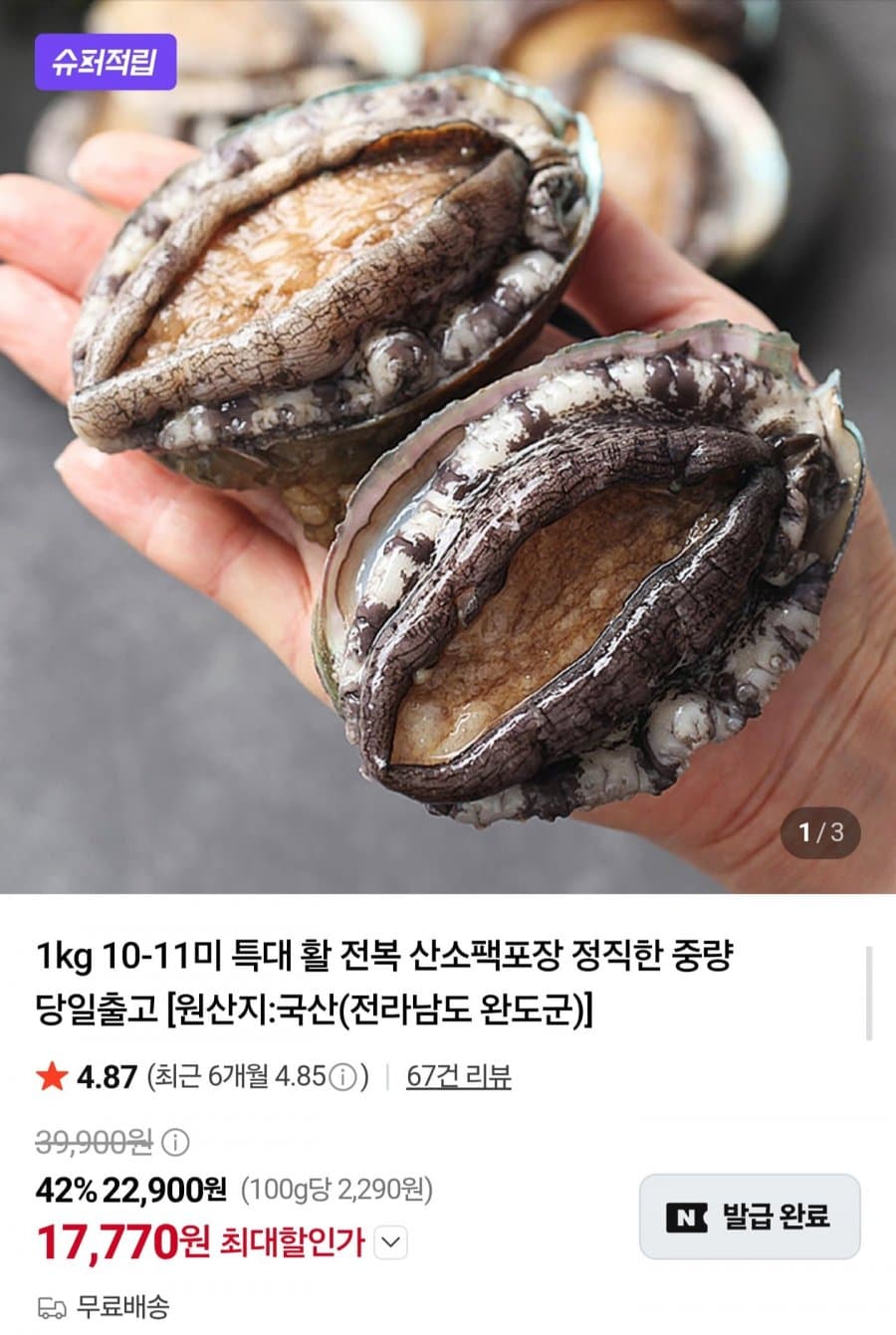 국내산 활전복 1kg