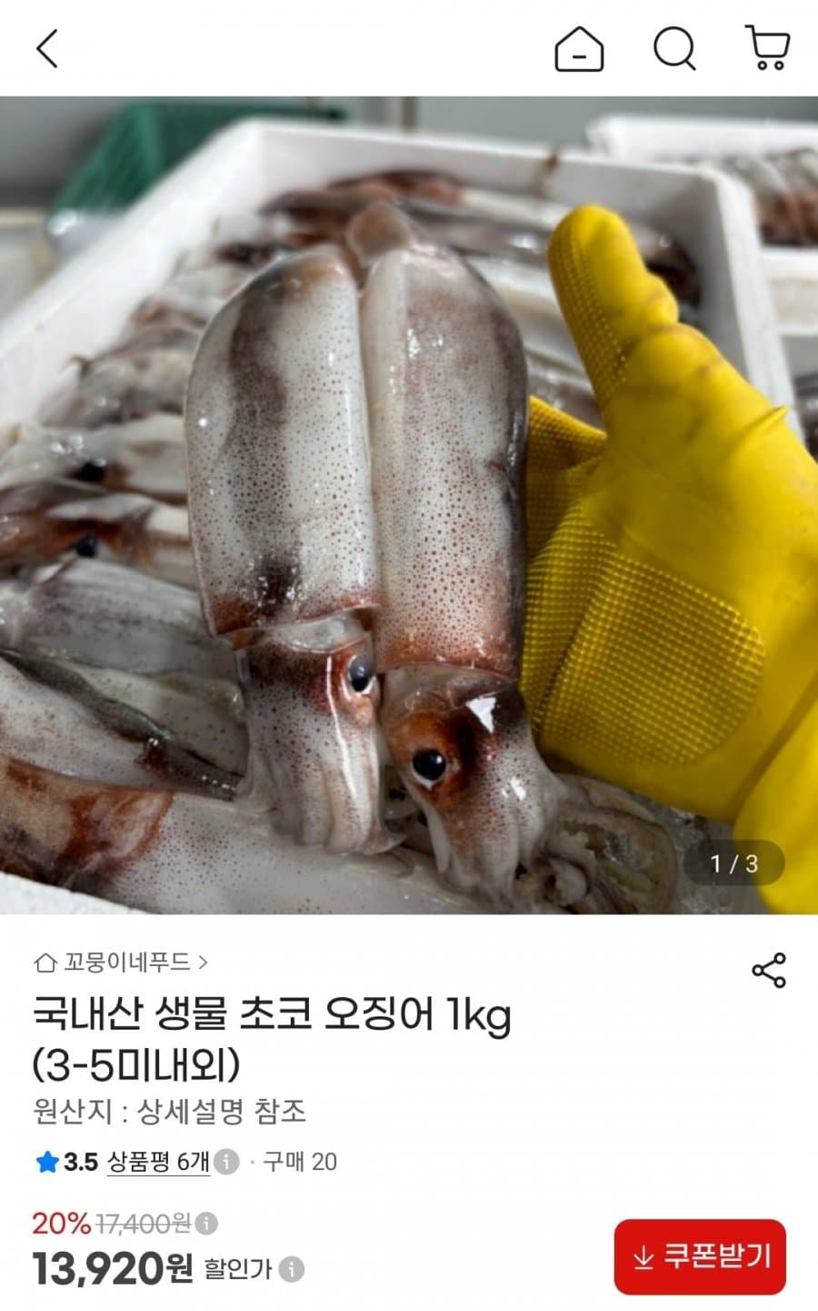 생물 초코 오징어 1kg