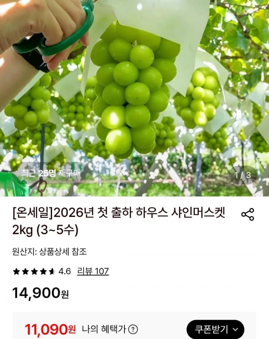 샤인머스켓 2kg