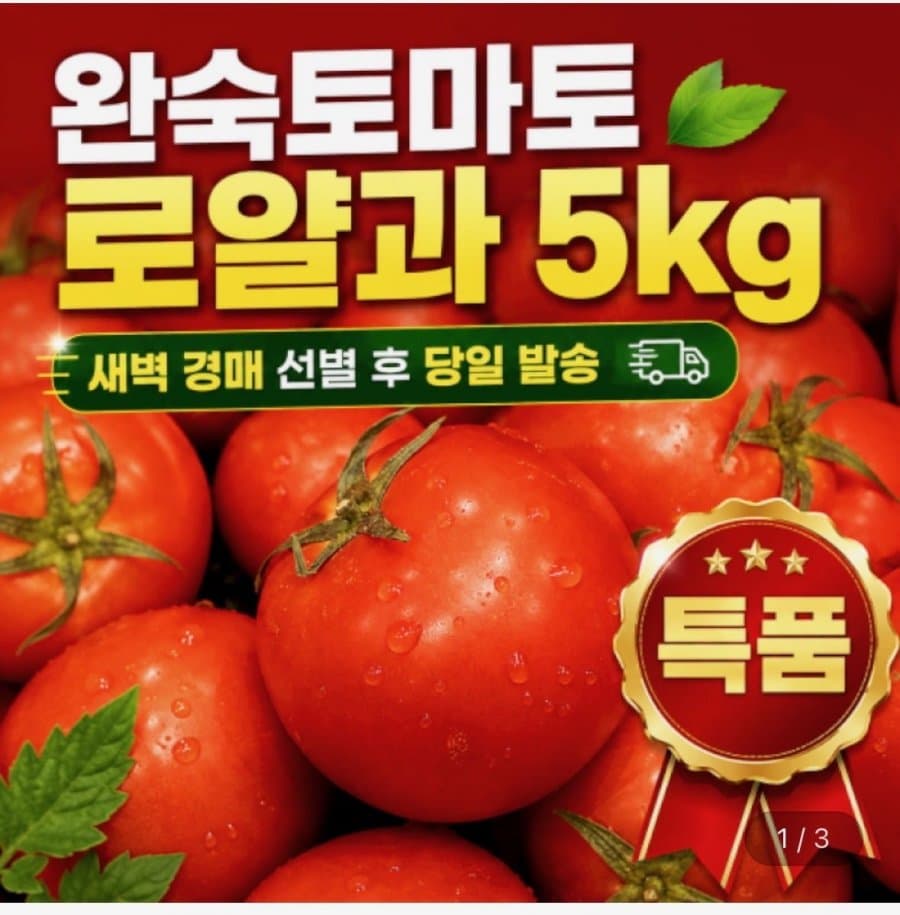 완숙 토마토 5kg