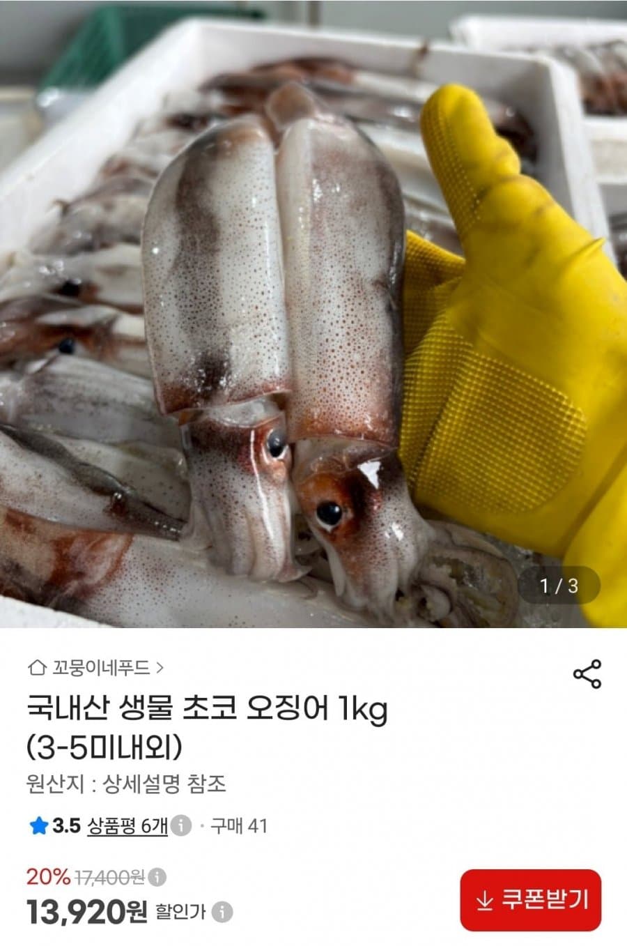 생물 초코 오징어 1kg