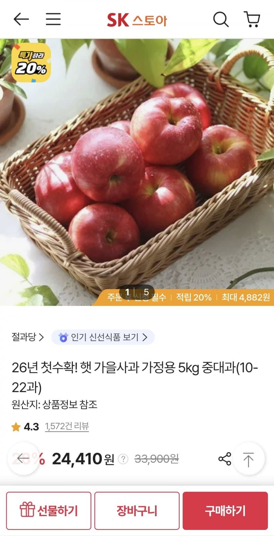 가을사과 5kg 중대과