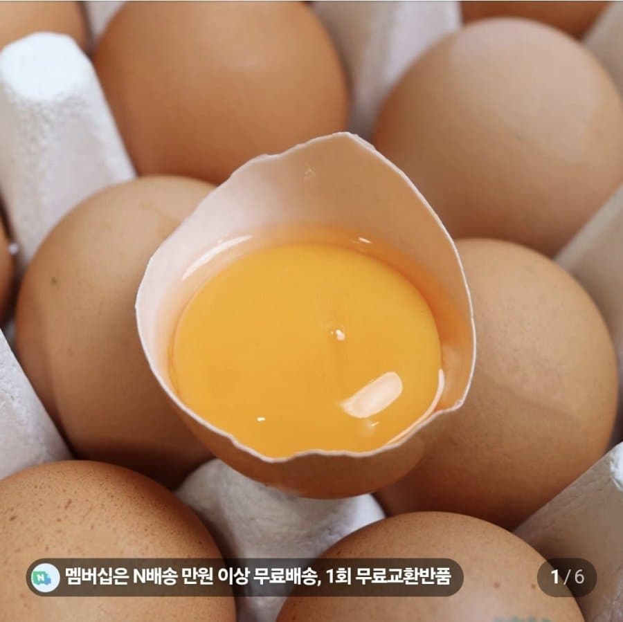 1번가 유정란 20구