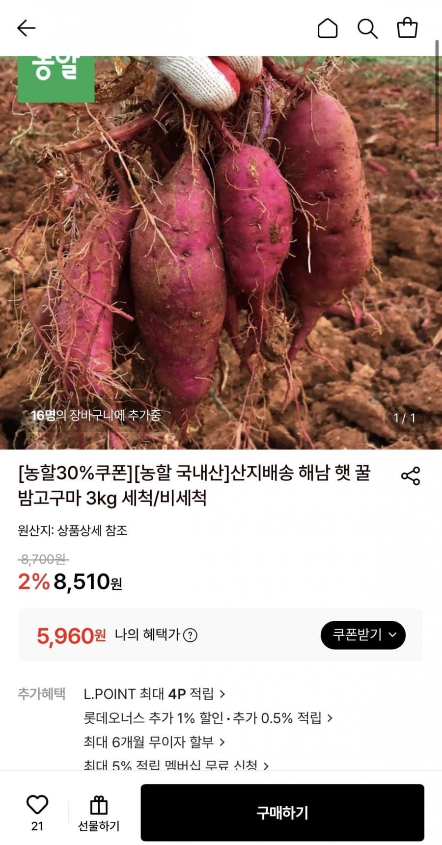 햇꿀밤고구마 한입 3kg