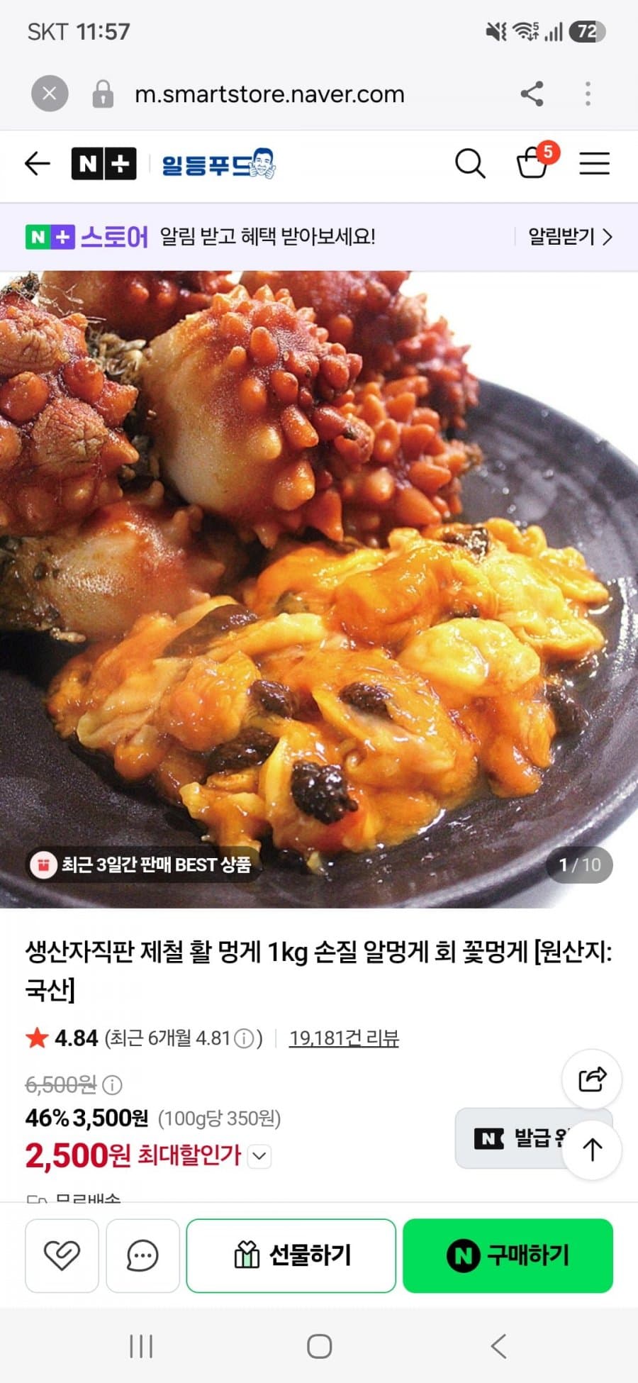 Fresh Live Sea Squirt 1kg