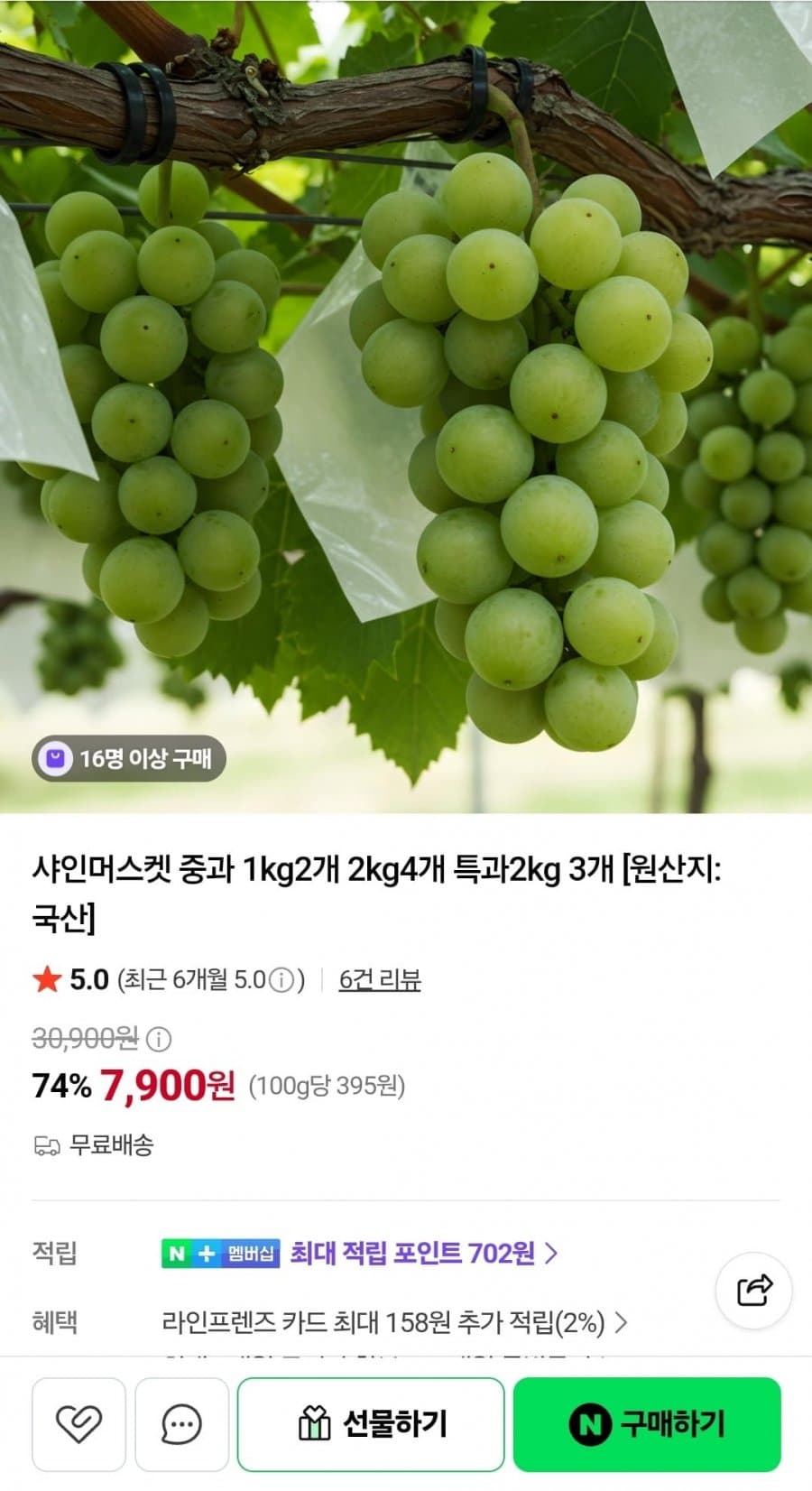 샤인머스켓 중과 1kg 2수