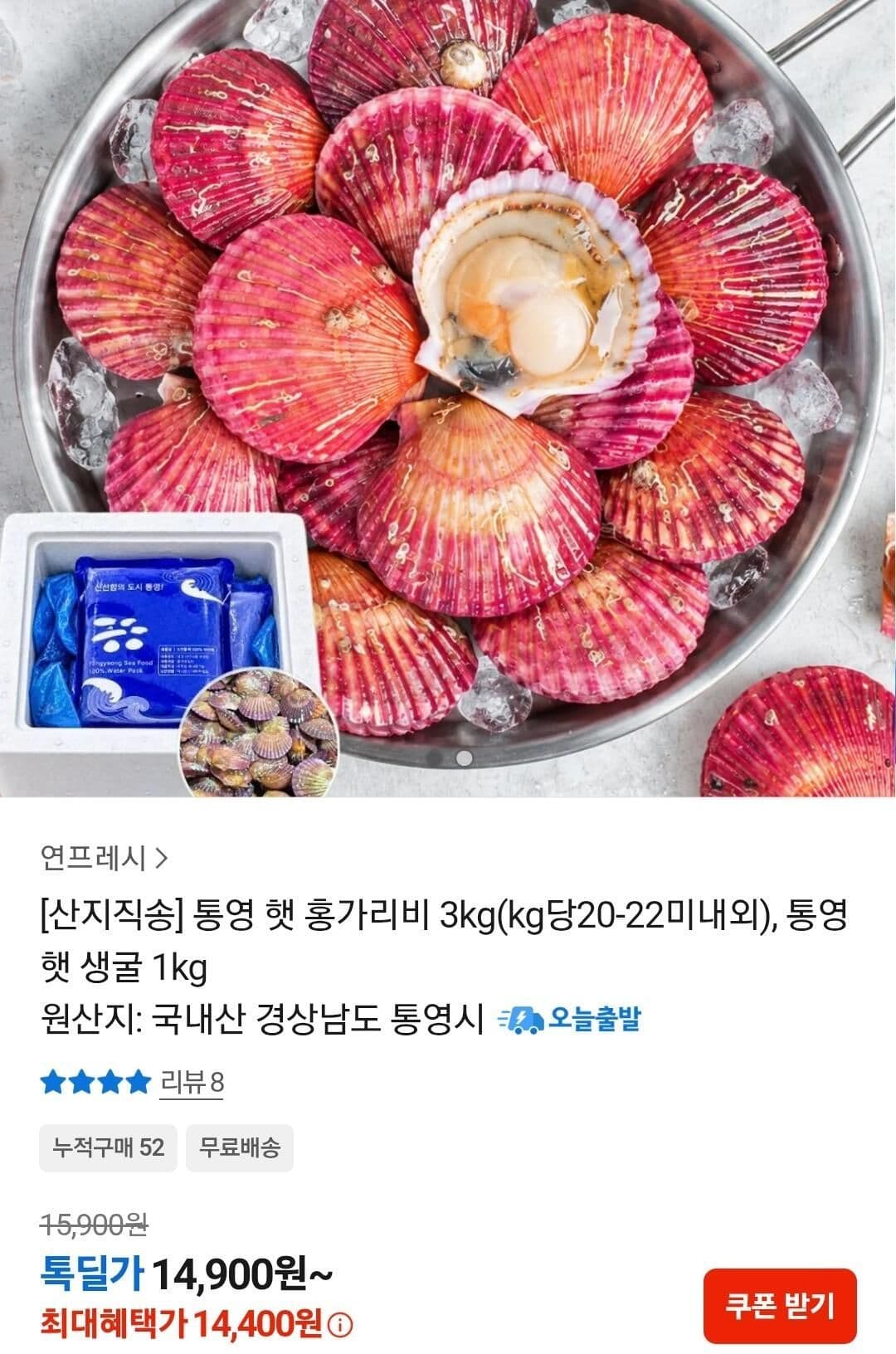 통영 햇 홍가리비 3kg