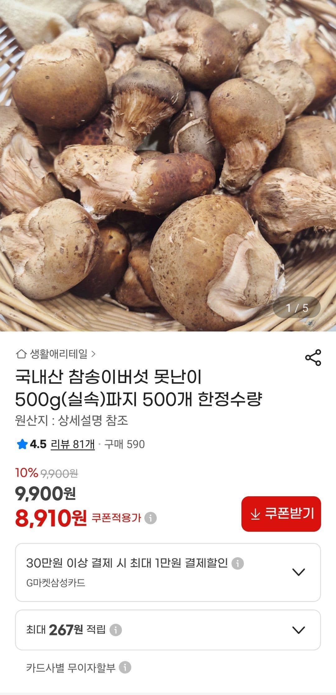 국내산 참송이버섯 500g 파지