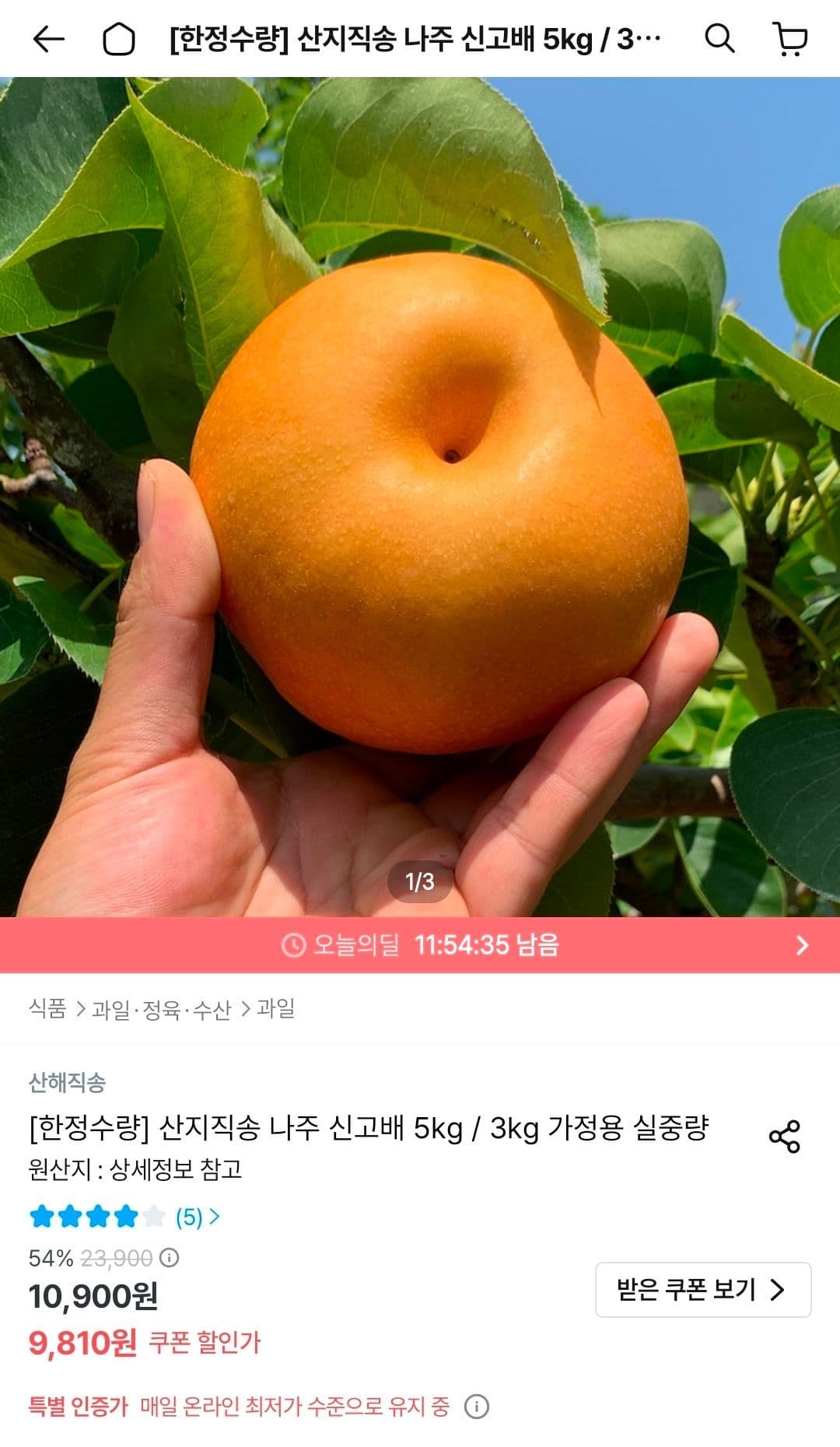 나주 신고배 3kg