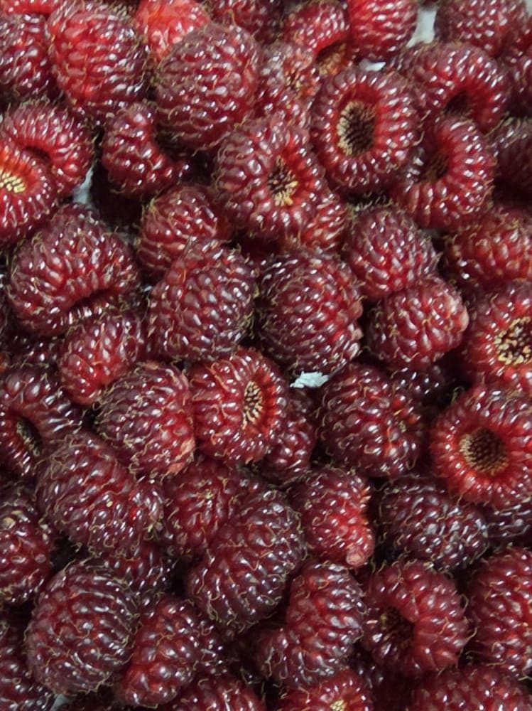 산딸기 400g