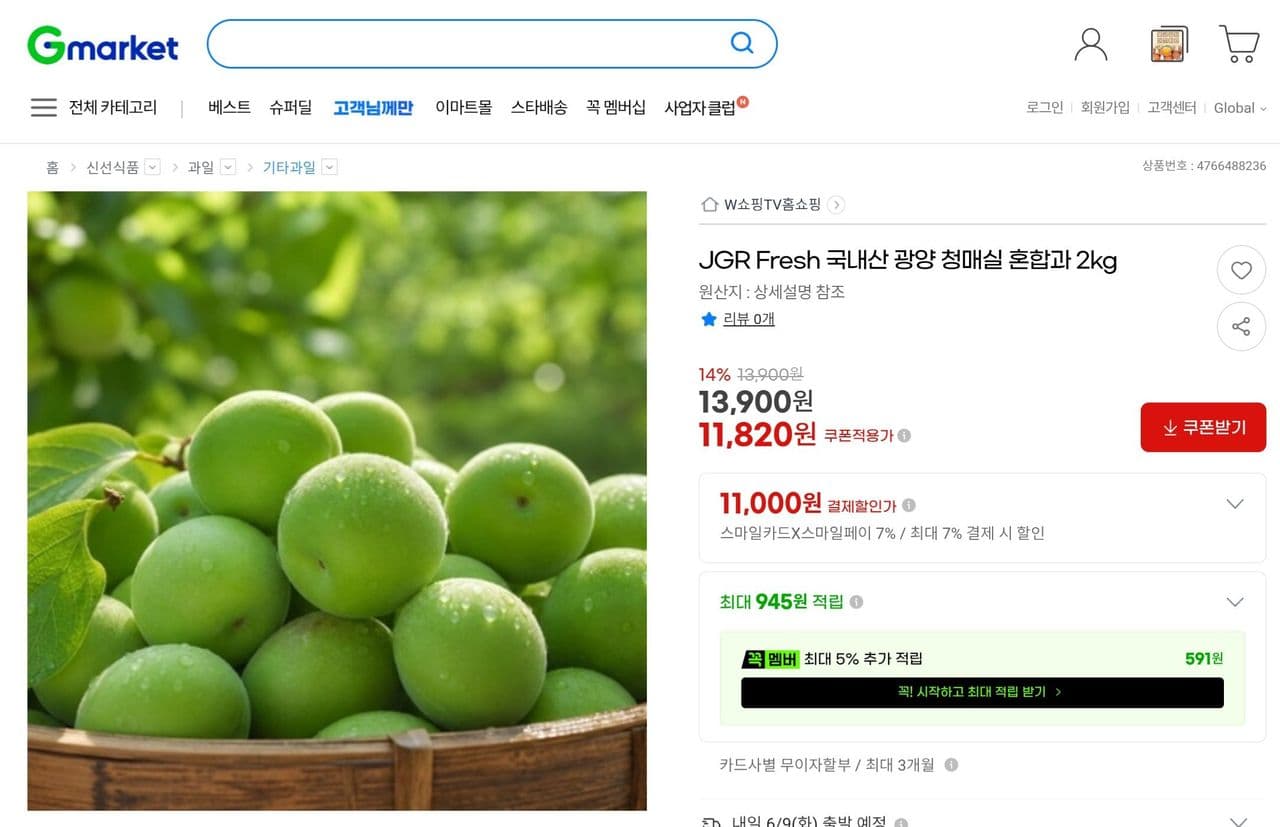 JGR Fresh 광양 청매실 2kg