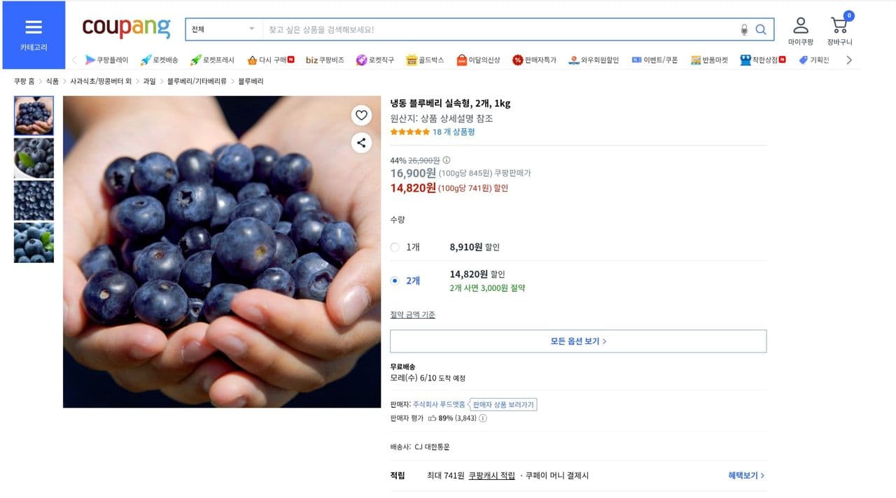 냉동 블루베리 실속형 1kg 2개