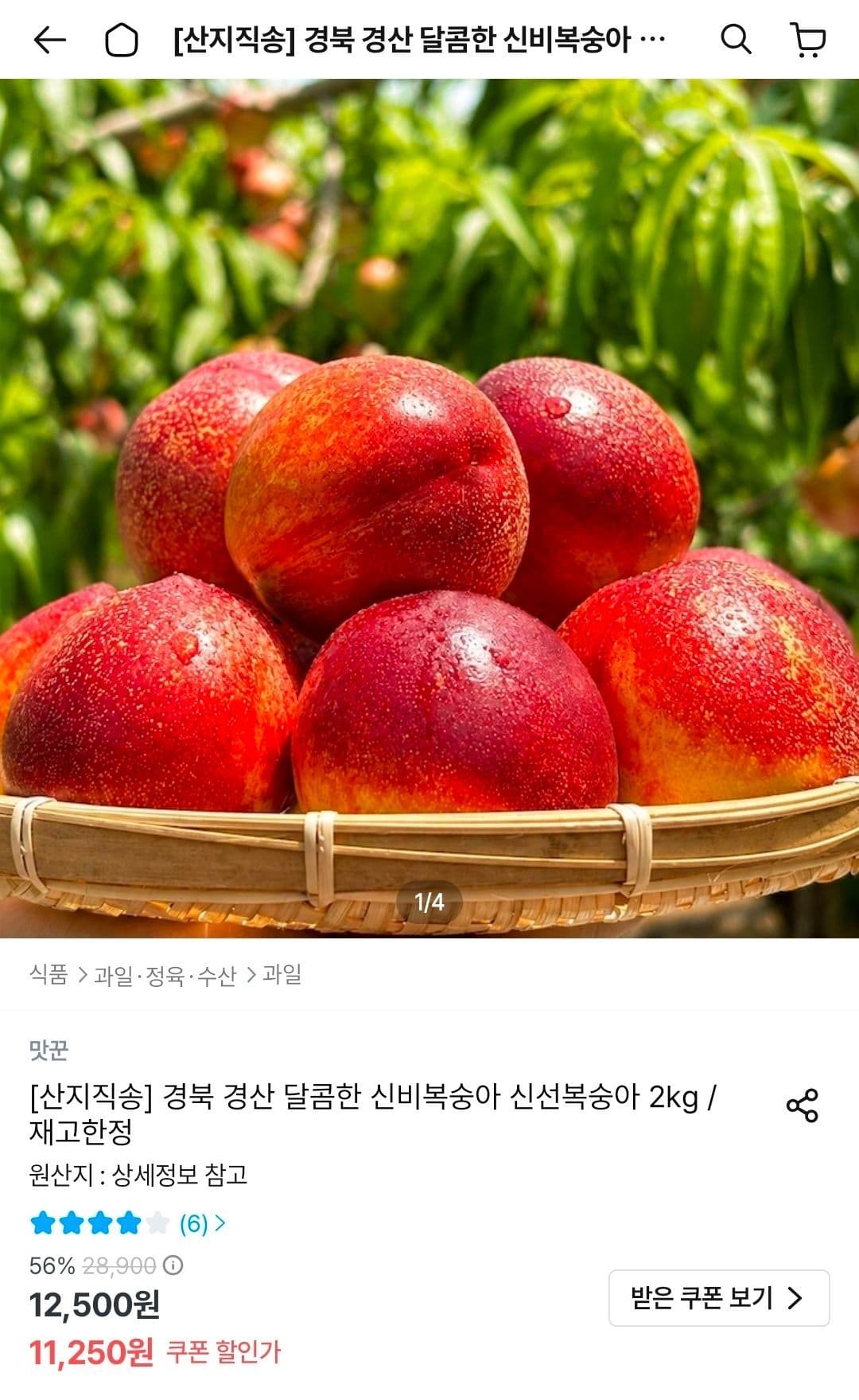 신비복숭아 로얄과 2kg