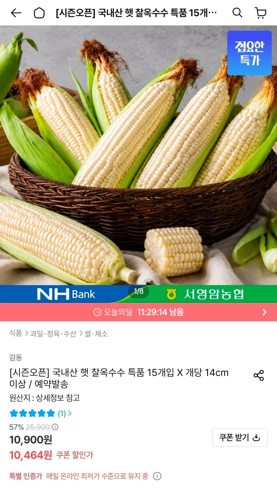 국내산 햇 찰옥수수 15개입