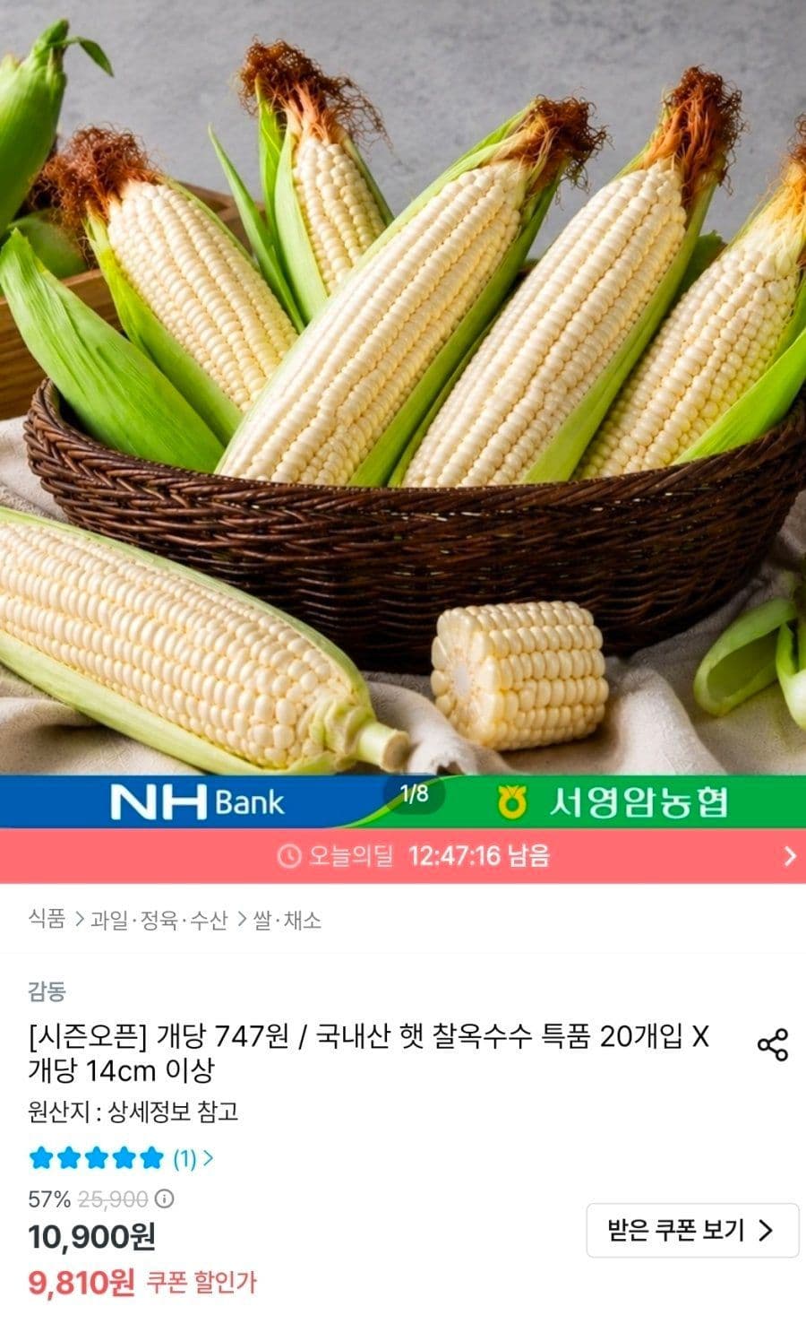 국내산 햇 찰옥수수 20개