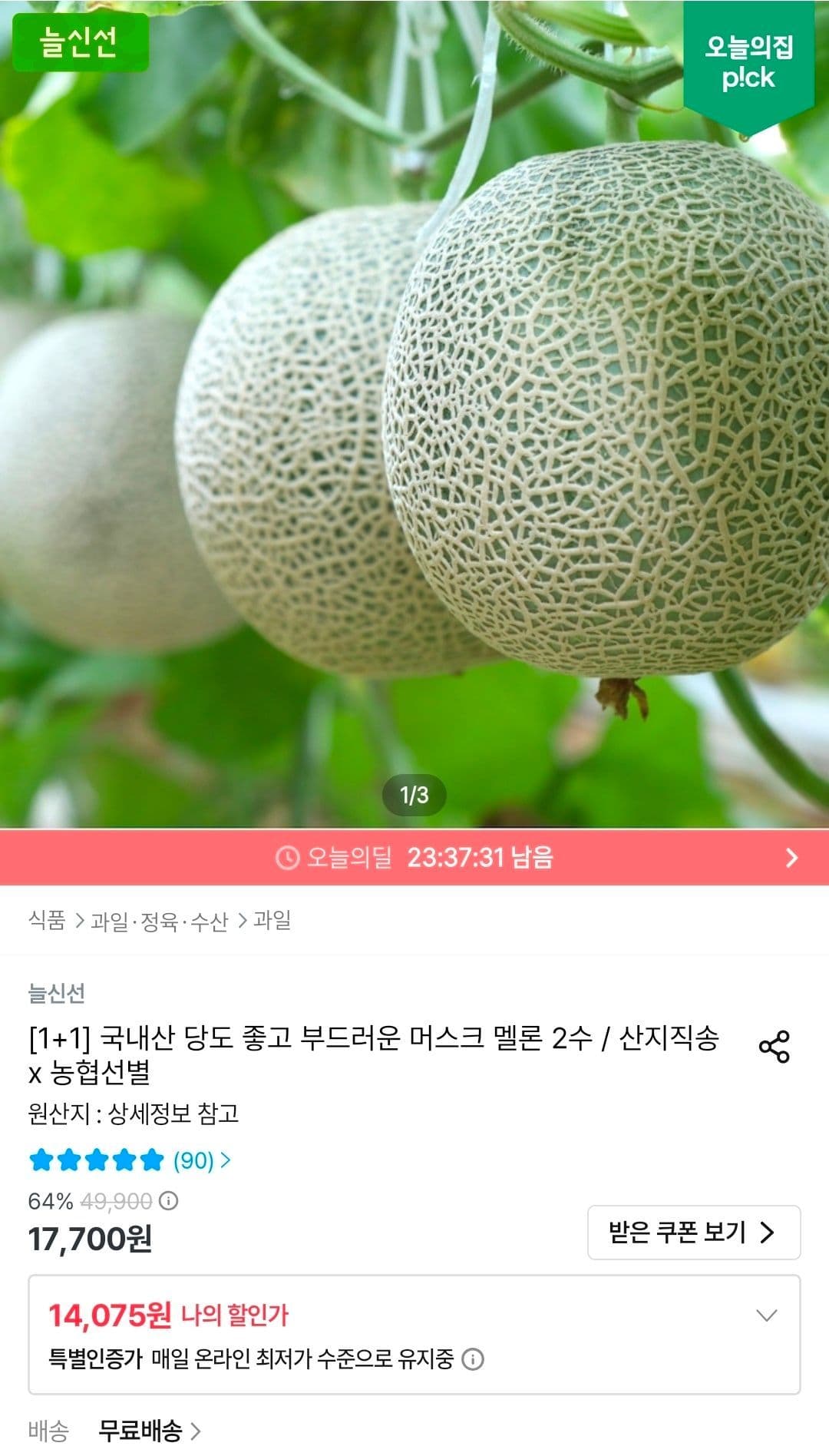 국내산 머스크메론 1+1