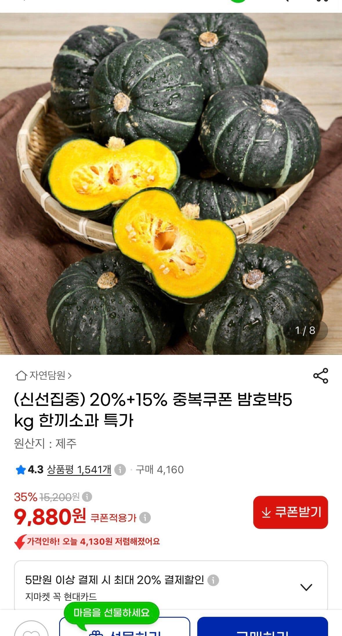 제주 밤호박 5kg