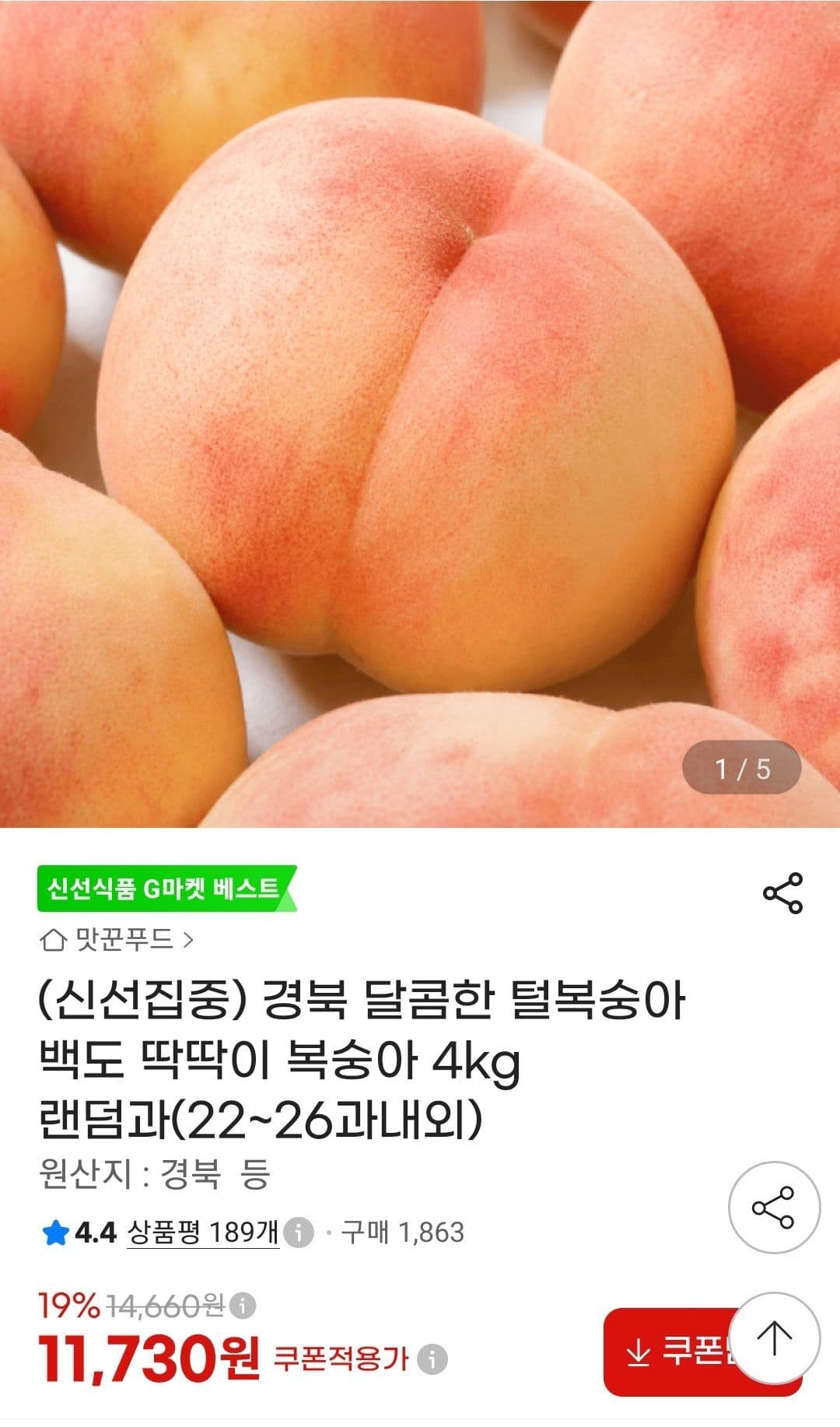 백도 딱딱이 복숭아 4kg