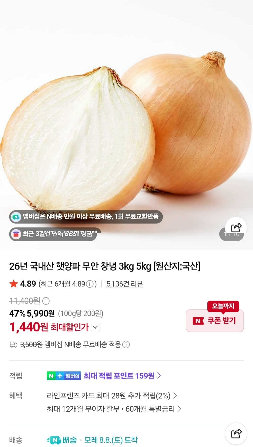 국내산 햇양파 3kg/5kg