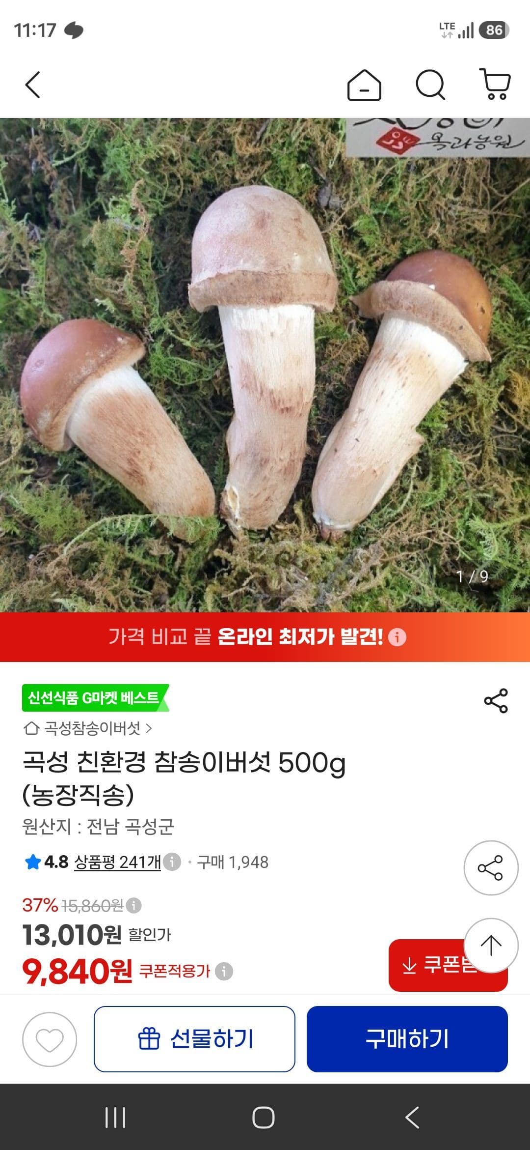 곡성 참송이버섯 500g
