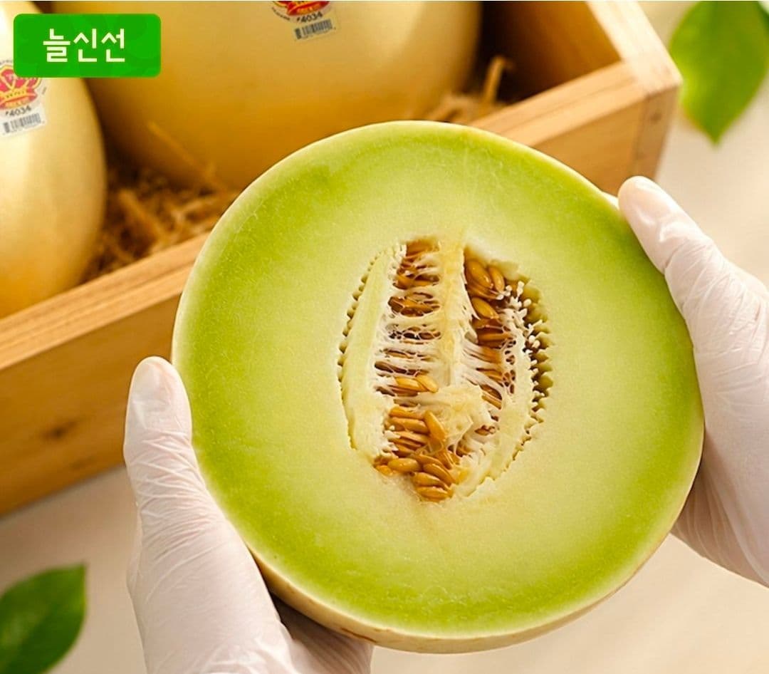 허니듀 멜론 2과 3.7kg