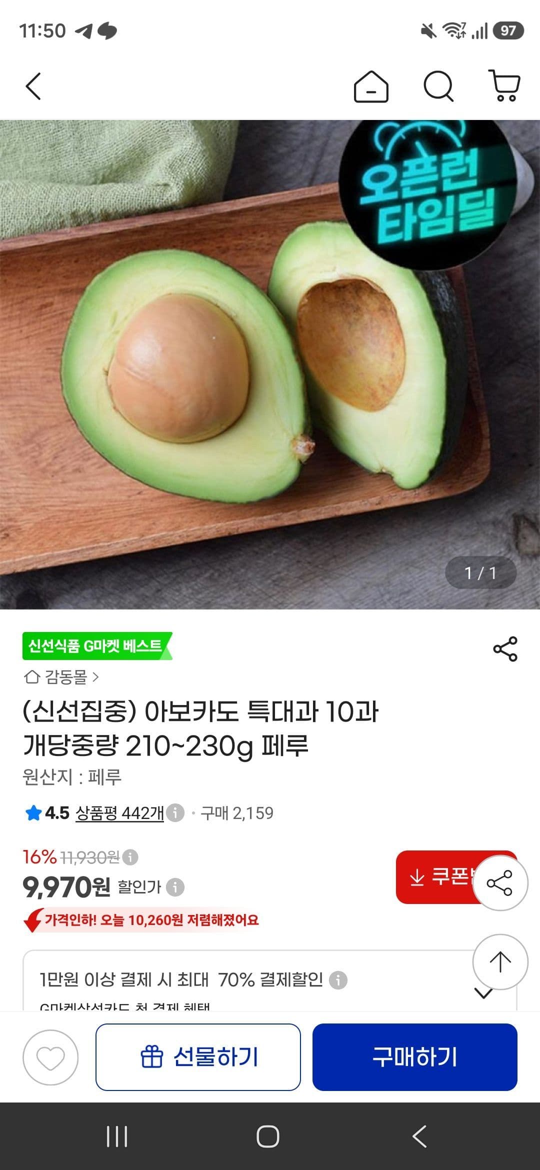 아보카도 특대과 10과