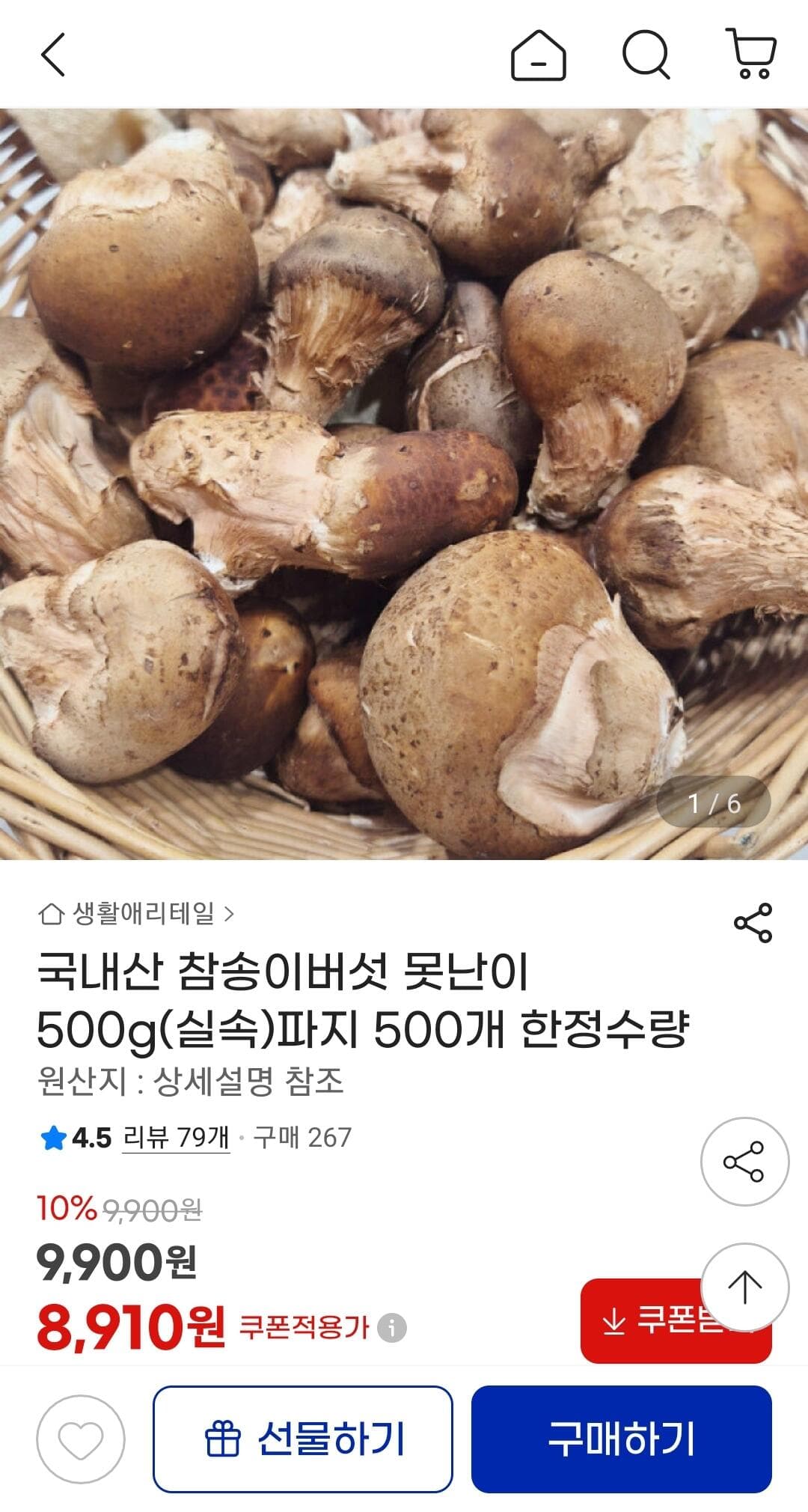 참송이버섯 500g 파지 [20]