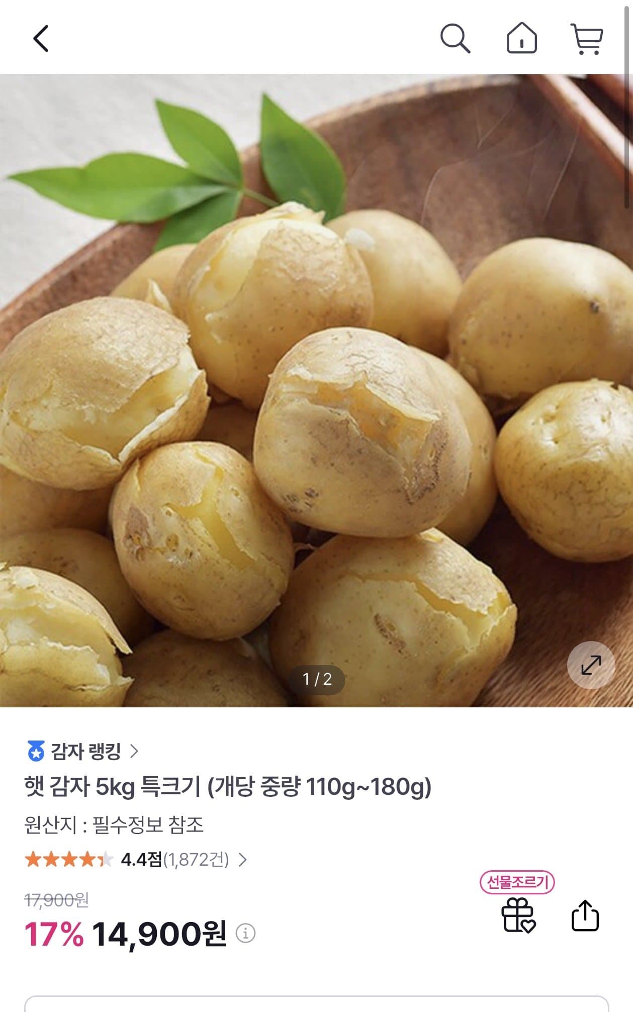 햇 감자 5kg