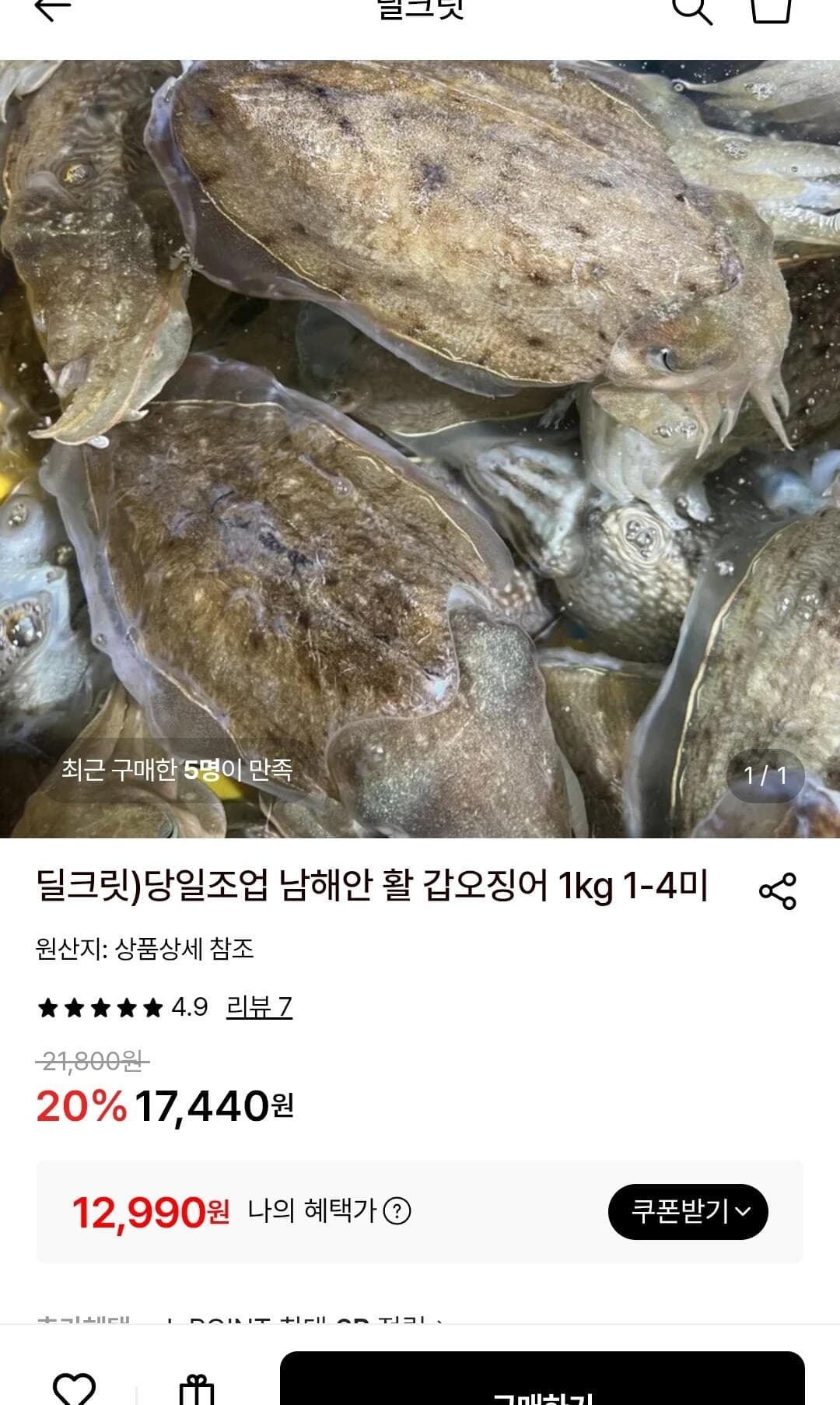 남해안 활 갑오징어 1kg